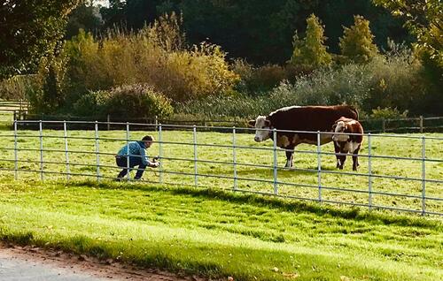 Filmmakers out on location during Business and Culture Working Together production, Autumn 2019 Filmmakers out on location during Business and Culture Working Together production, Autumn 2019