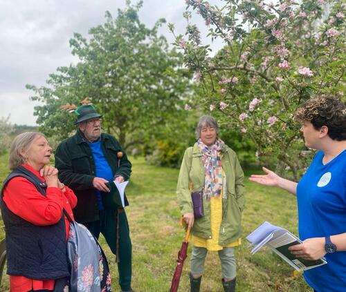 Creative Pathways at Ledbury Poetry