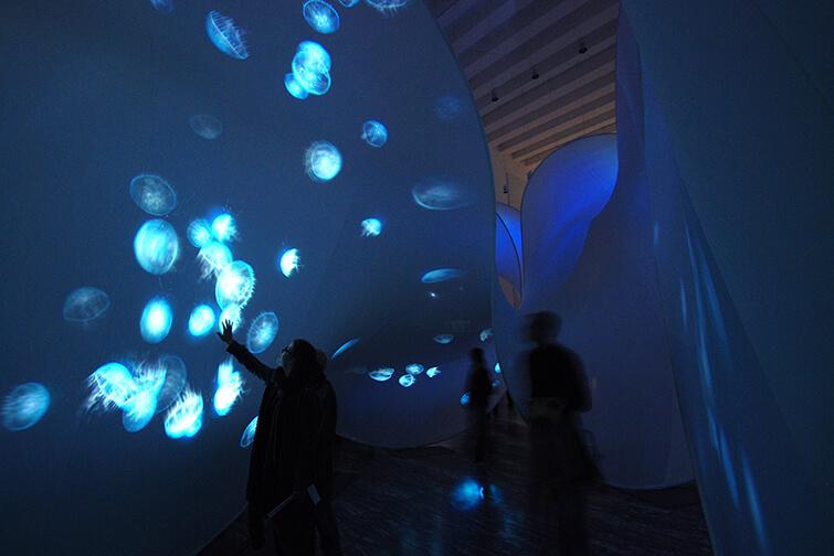Aquatic Colours by Lucent Aquatic