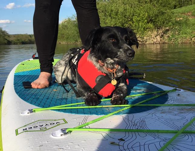 paddleboarding