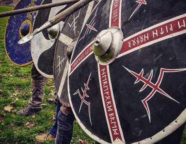 Viking shields