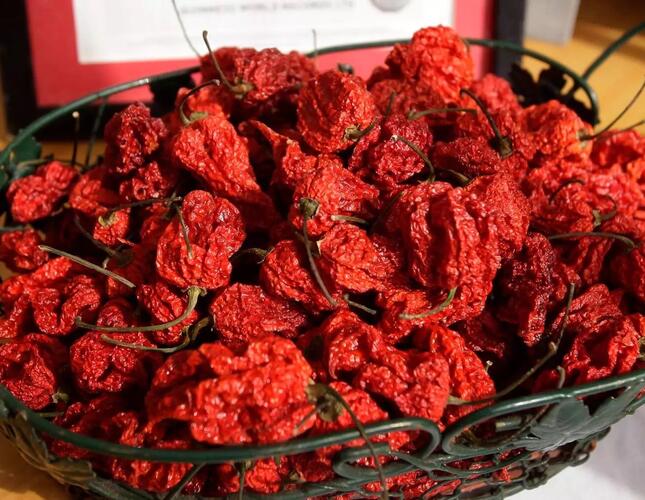 The image is a close up photo of a large bowl full of bright red dried chilli peppers