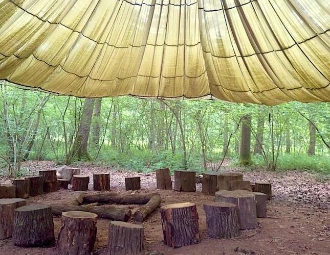 A tent in a wooded area with a fire pit.
